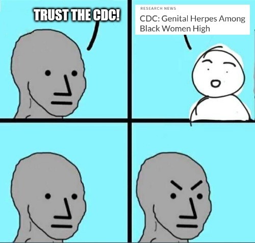 According to the CDC, 48% of Black Women in America Have Genital Herpes - meme