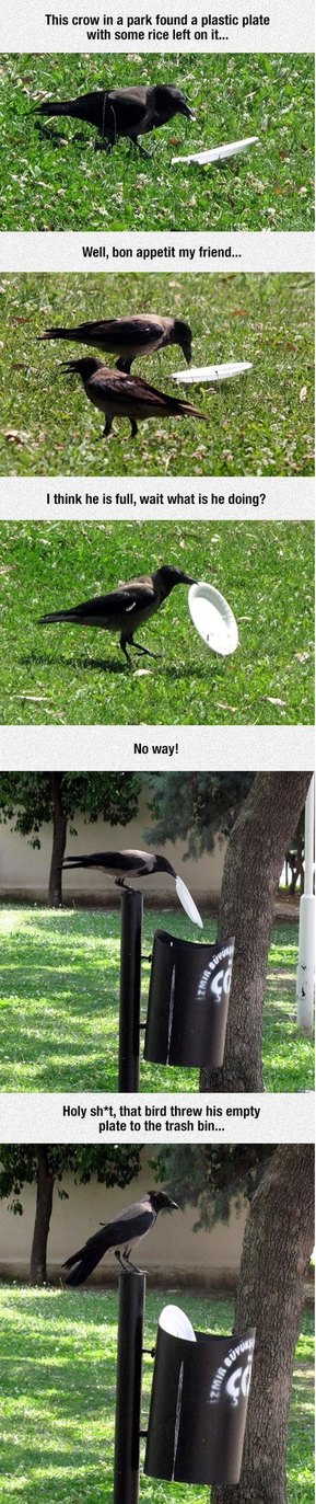 love that raven! - meme