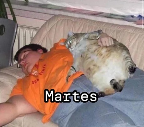 Meme del martes (es miercoles)