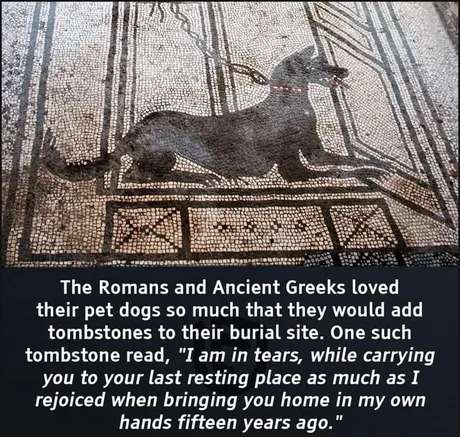 The Romans and Ancient Greeks loved their pet dogs so much that they would add tombstones to their burial site - meme
