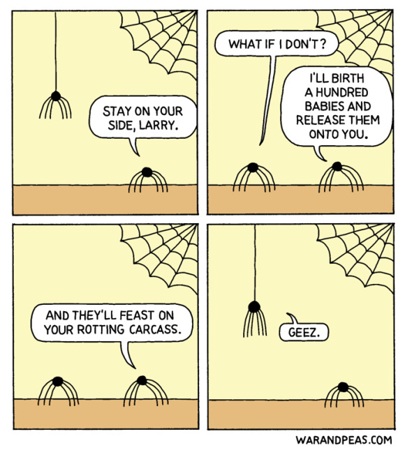 Don't mess with spiders - meme
