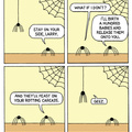 Don't mess with spiders