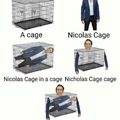 Nicholas cage in a Nicolas cage cage