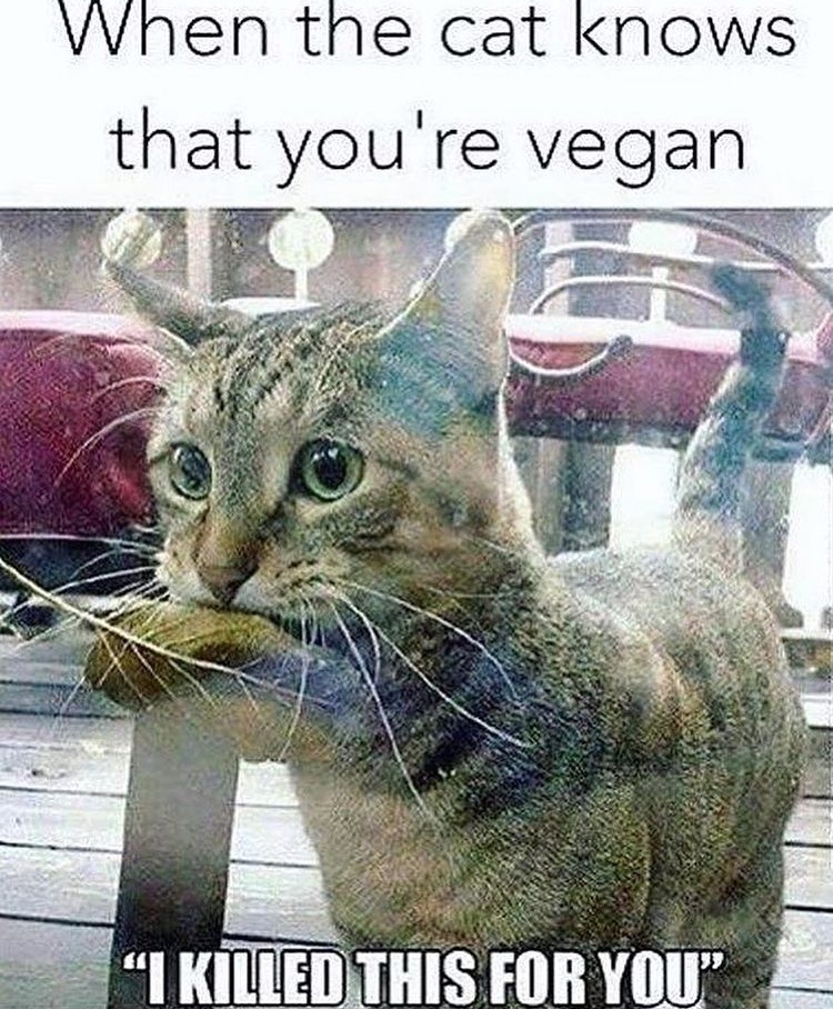 veganina - meme