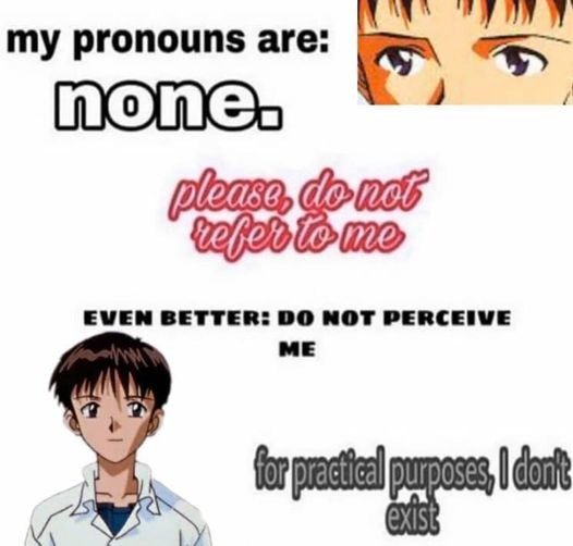 Correct Pronouns - meme