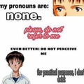 Correct Pronouns