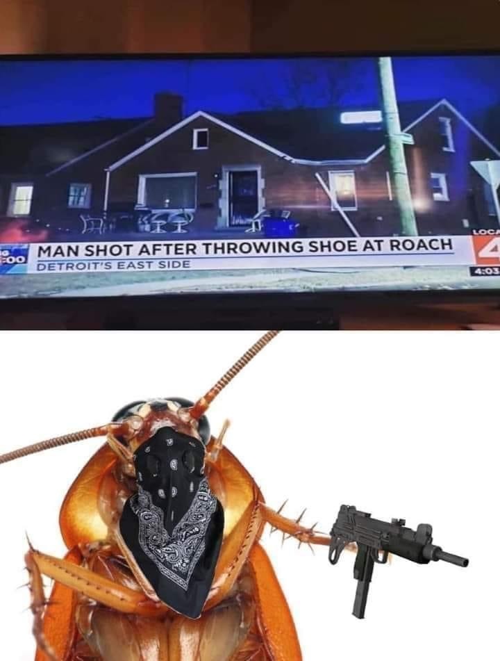 Damn. I thought Philly roaches were bad - meme