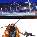 Damn. I thought Philly roaches were bad