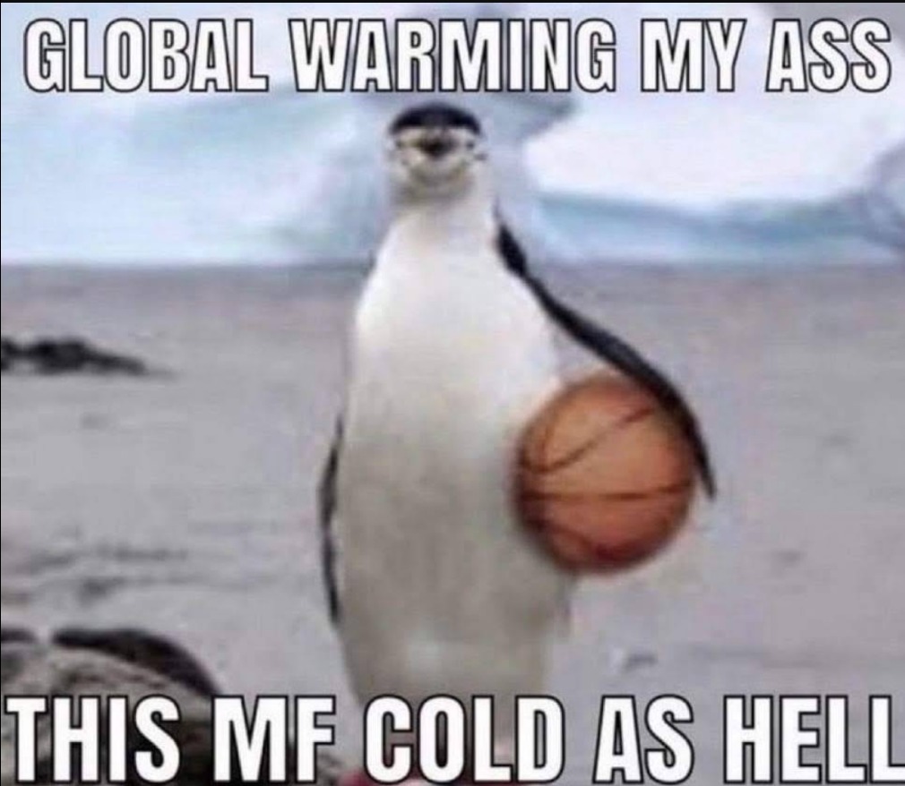 Cold as hell - meme