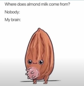 Almond milk - meme