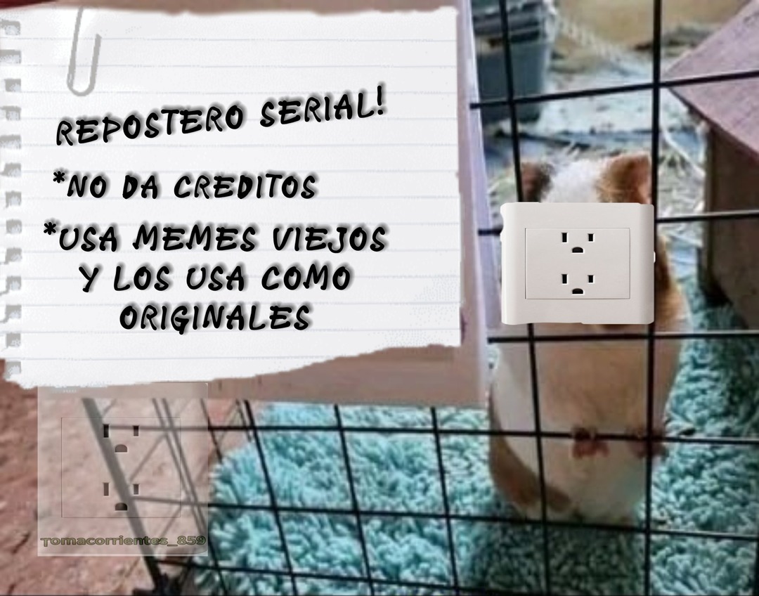 Así es no soy original pero los que tienen mi marca si - meme