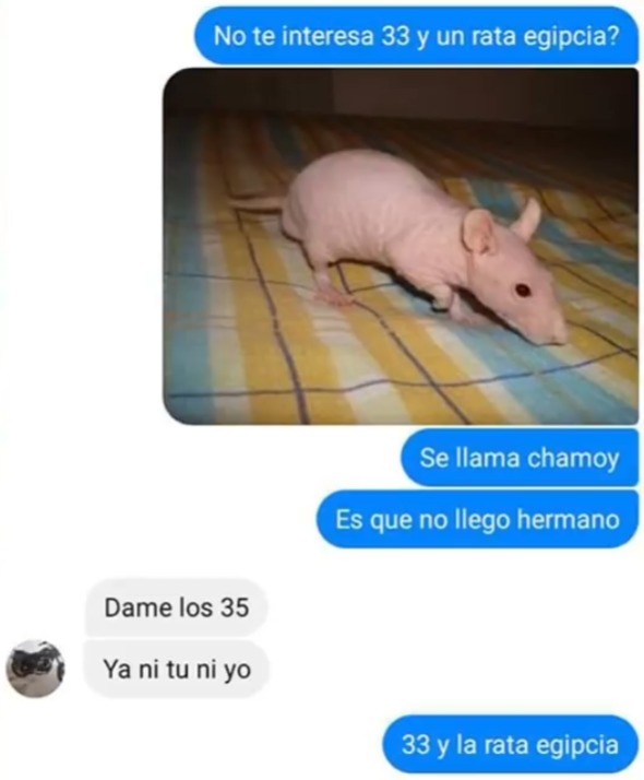 Titulo para tu meme