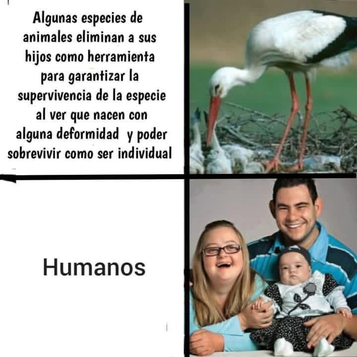 Test - meme