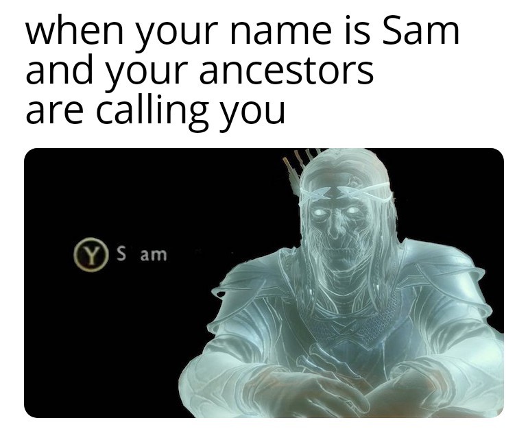 Sam - meme