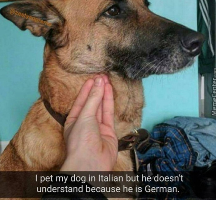 No italiano - meme