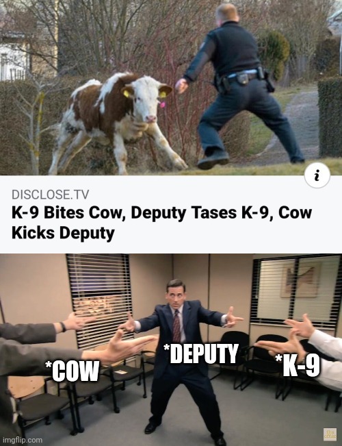Cow kicks deputy - meme