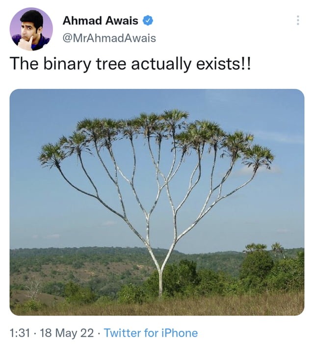 Binary tree - meme