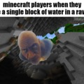 The rock in minecraft