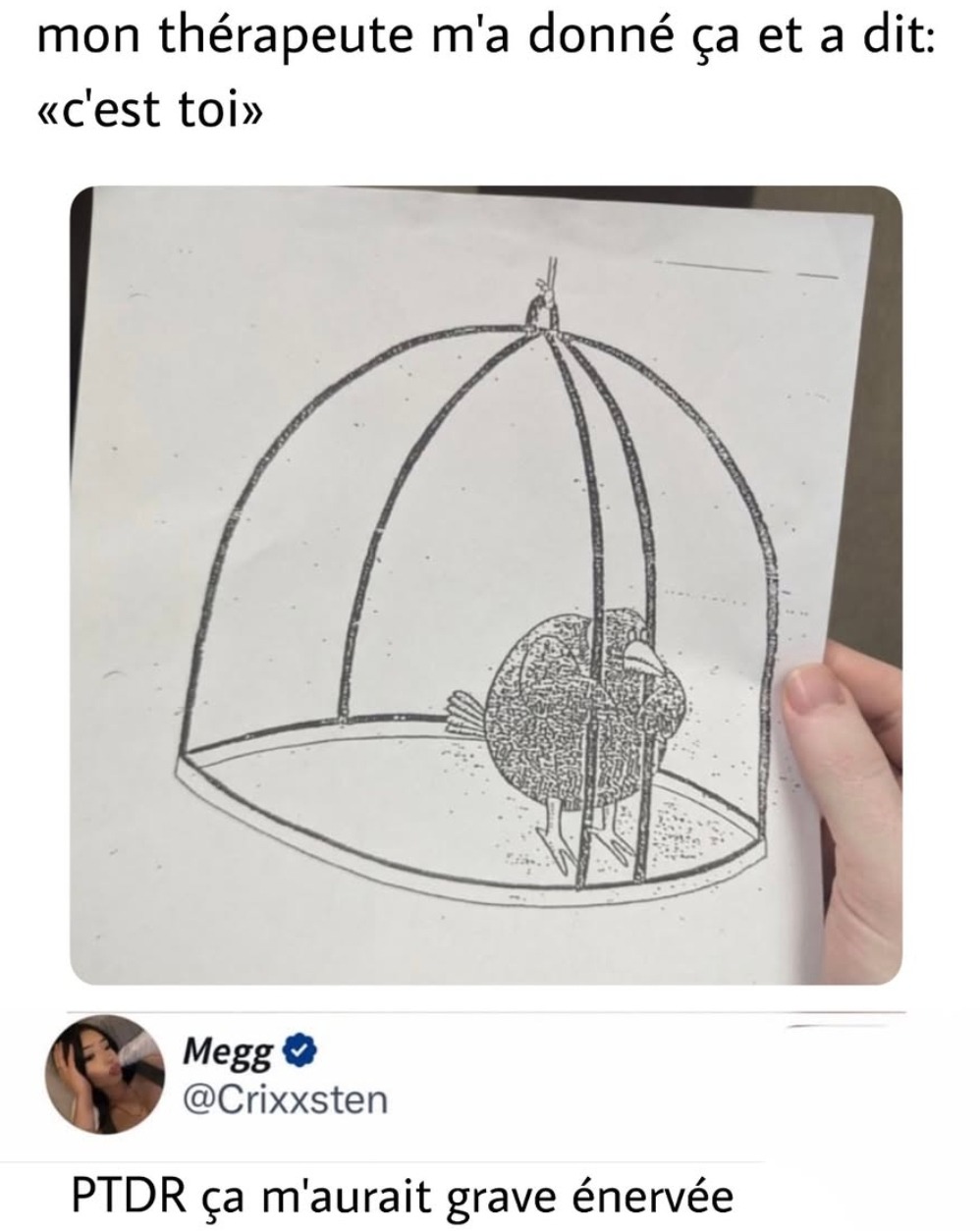 C’est toi sur ce dessin... mon thérapeute veut ma mort - meme