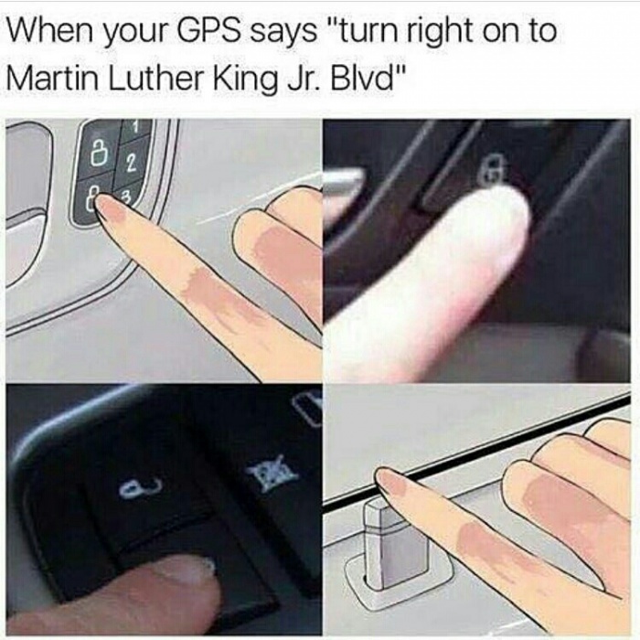dongs in a GPS - meme