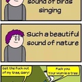 This is what birds do every morning