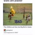 big bird will come for you