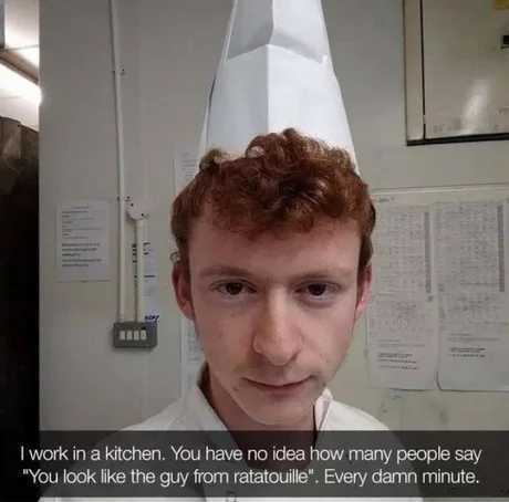 You look like that guy from ratatouille - meme