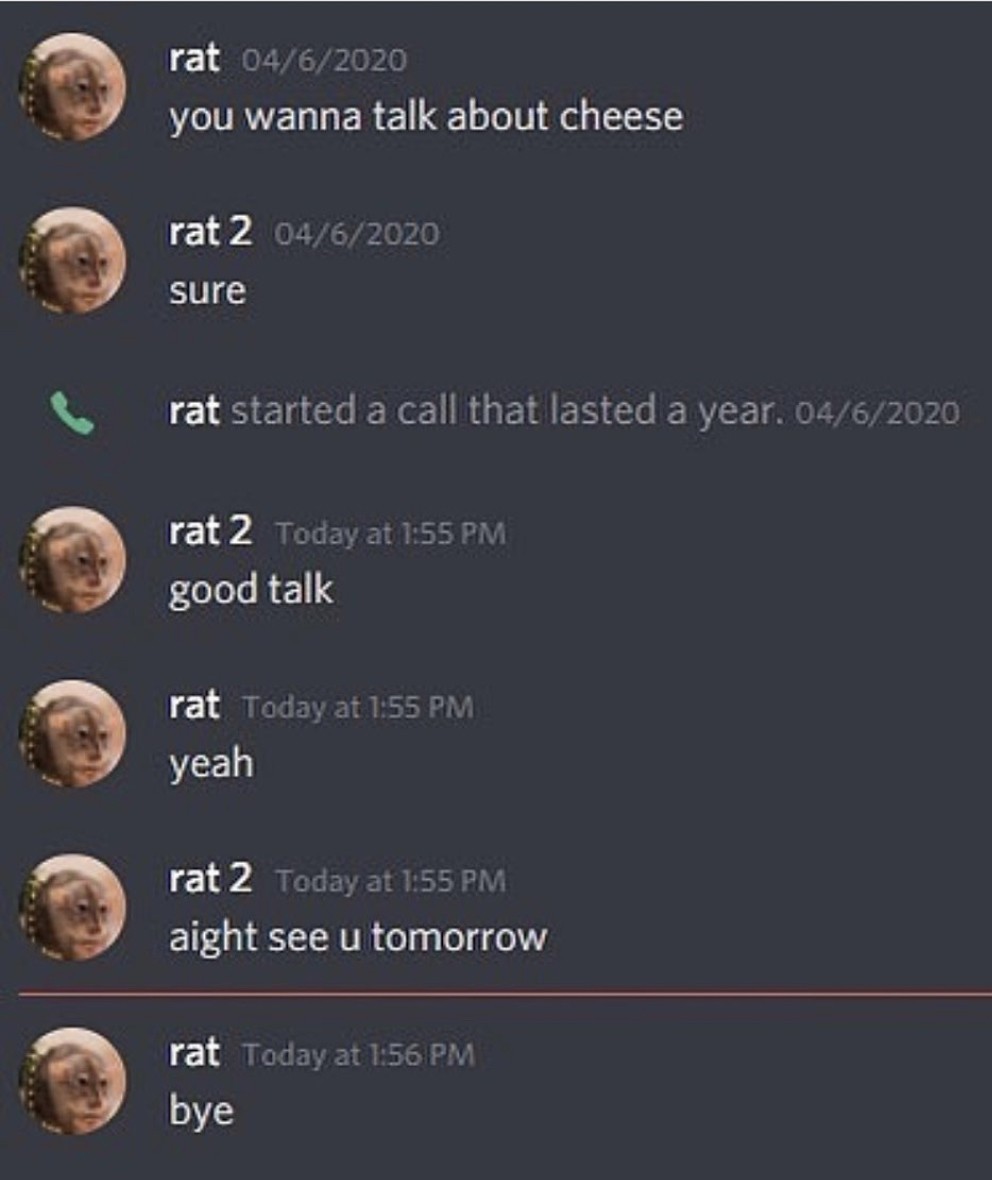 Rats - meme