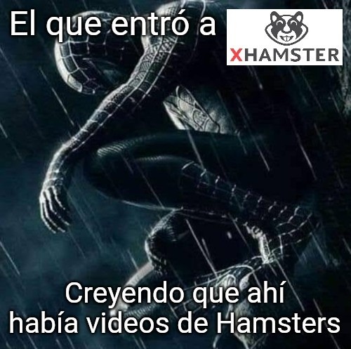 Ahí no hay videos de hamsters :okay: - meme