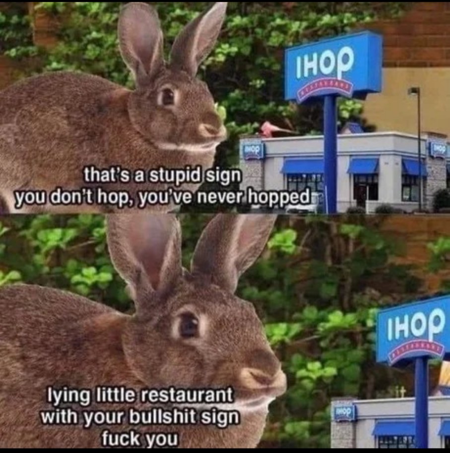 Bunny calls shenanigans - meme