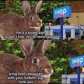 Bunny calls shenanigans