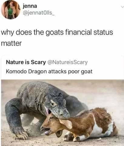 Komodo dragon's are nature's nuclear bombs change my mind - meme