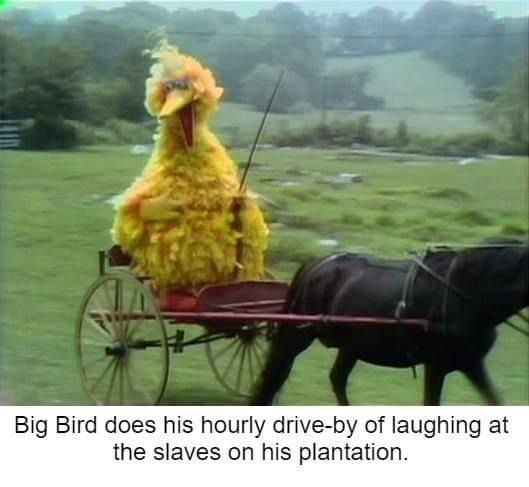 Big bird enjoys the suffering of others - meme