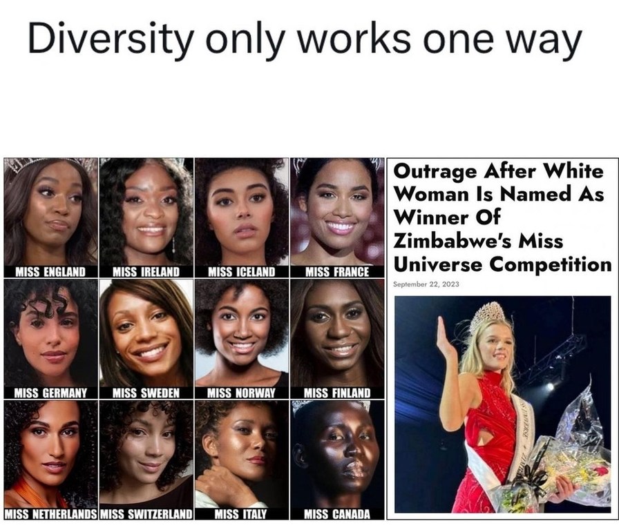 Diversity - meme