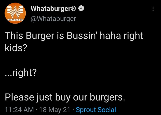 This burger is bussin - meme