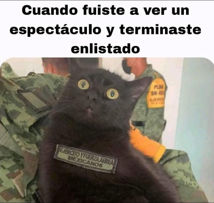 enlistado en el ejercito mexicano - meme