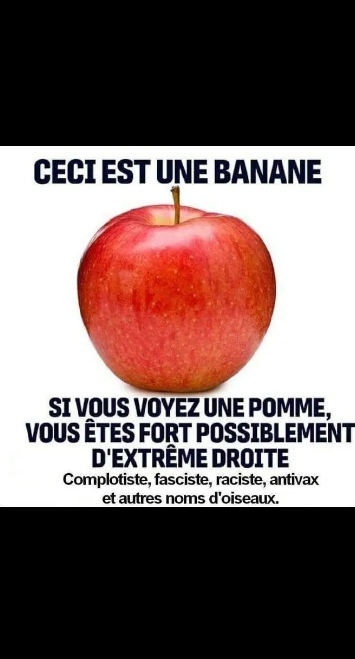 L'homme descent de l'arbre, qui se fracasse le crâne et devient con. - meme