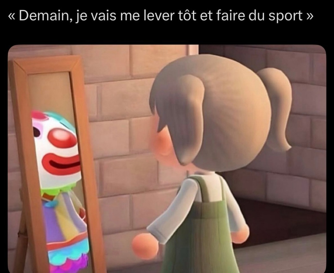 Demain j'me lève tôt et j'fais du sport (mensonge n°374) - meme