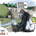 No mas zoo