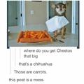 Big Cheetos and a Chihuahua