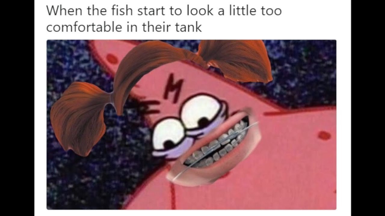 the fishy dead - meme