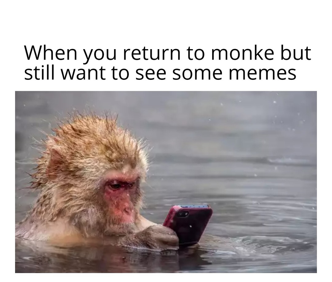 monke - meme