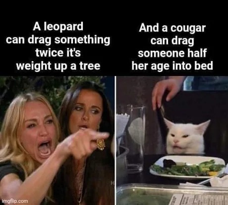 Cougar funny meme