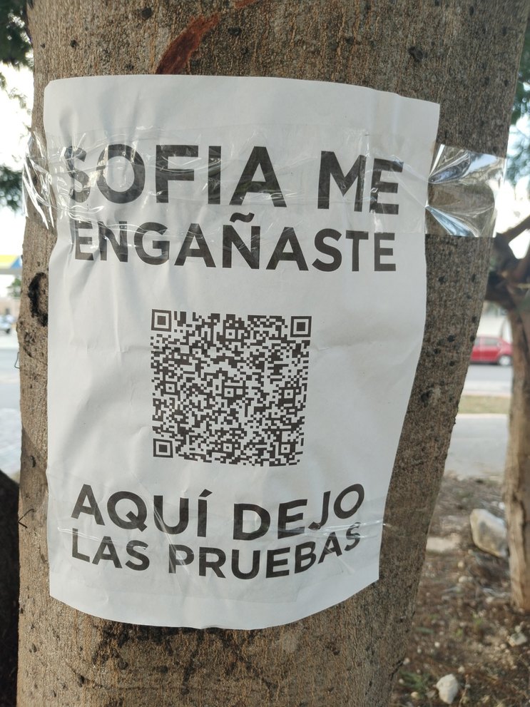 Subío los videos nopor de su ex en Valentine's day - meme