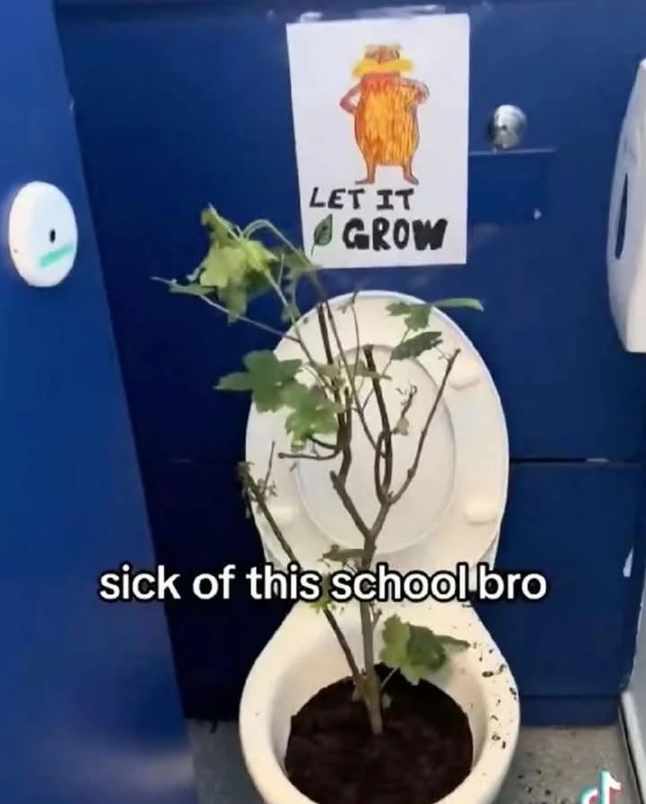 Inserte chiste genérico sobre baños en escuelas públicas* - meme
