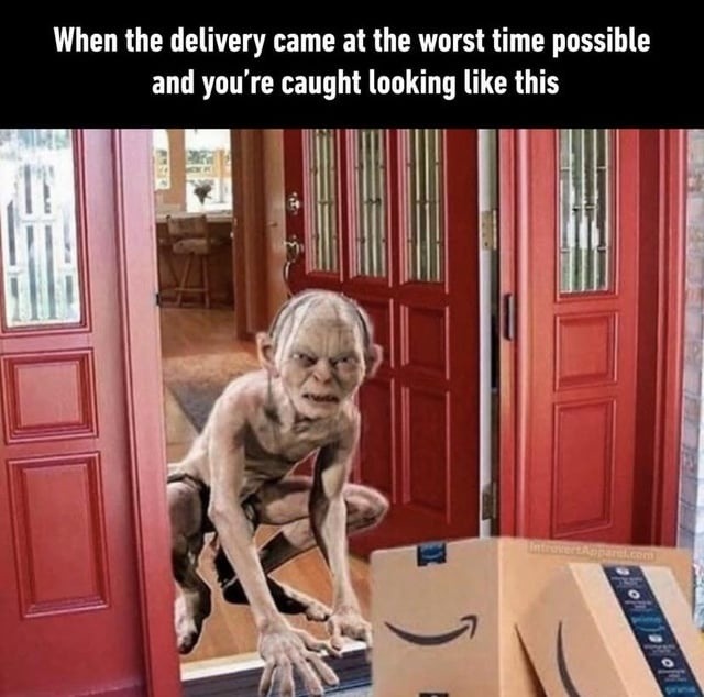 Delivery guy arrived just in time to witness peak ugly - meme