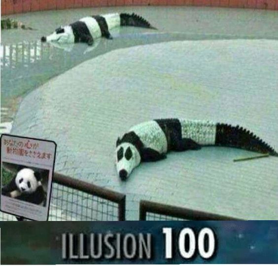 Illusion 100 % - meme