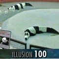Illusion 100 %