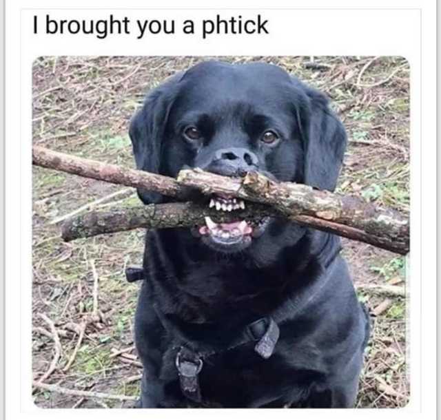 Phtick - meme