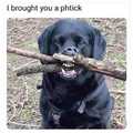Phtick